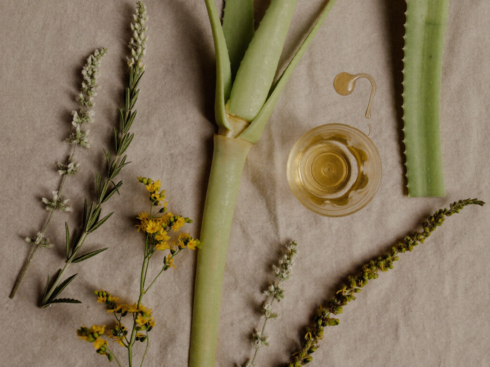 Aloe vera, rosmarino, camomilla e olio dorato su tessuto di lino